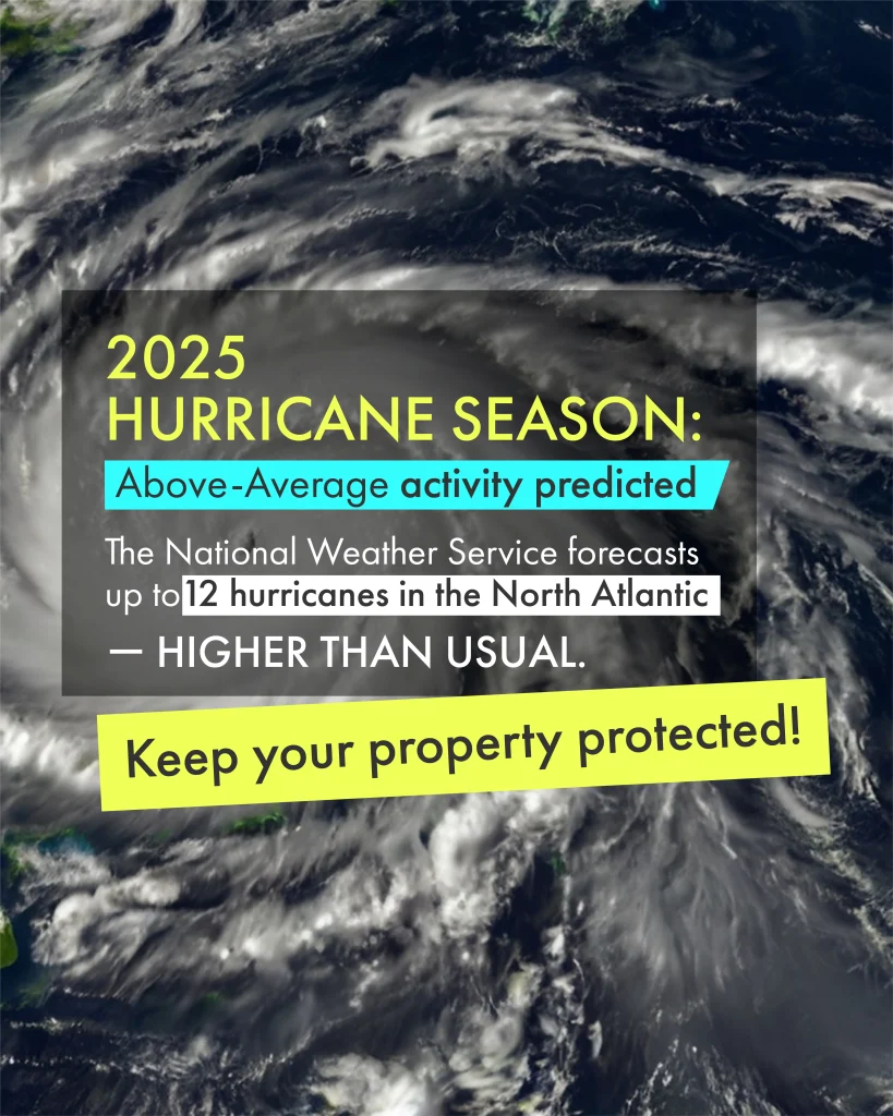 After a hurricane, hidden moisture can trigger dangerous mold growth in less than 48 hours.