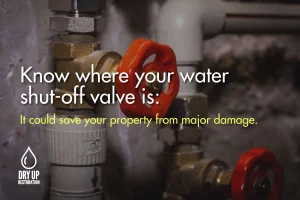 Blog Dry Up Restoration - The best restoration tips 14